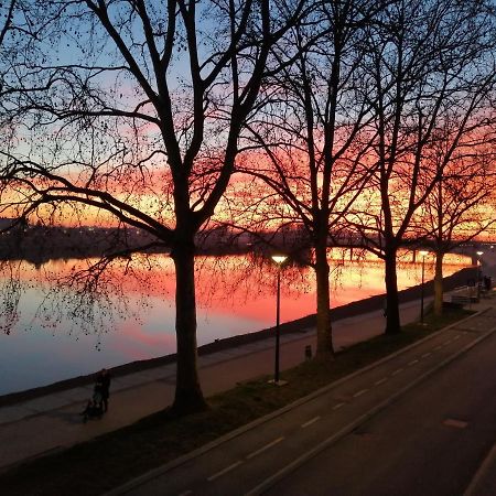 Apartment Marina Slavonski Brod Eksteriør billede